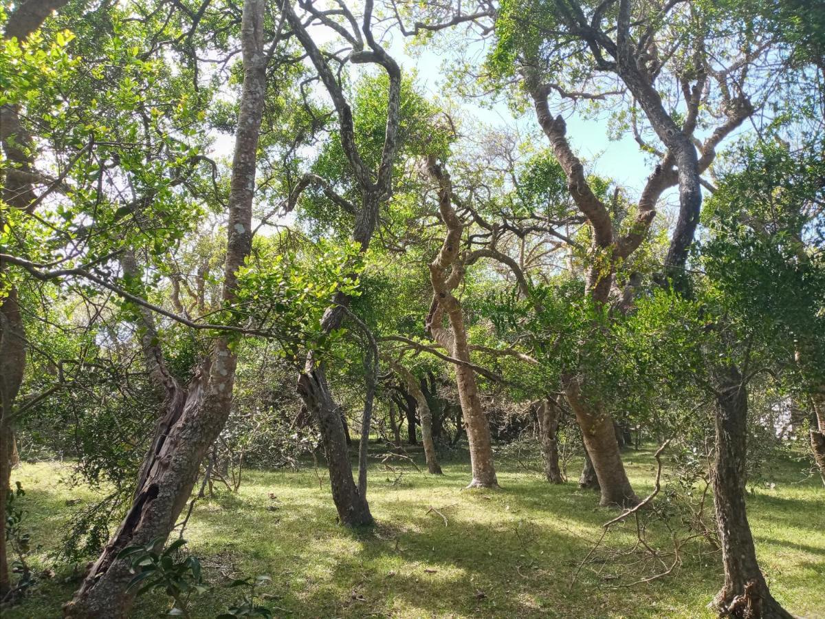 Casa De Campo Cerca Del Cabo Villa Rincón de los Oliveras Esterno foto